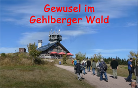 Youtube-Video Gewusel im Gehlberger Wald
