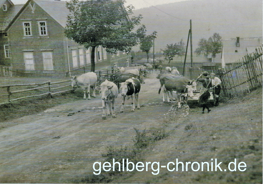 1938 008 Viehtrieb03 web