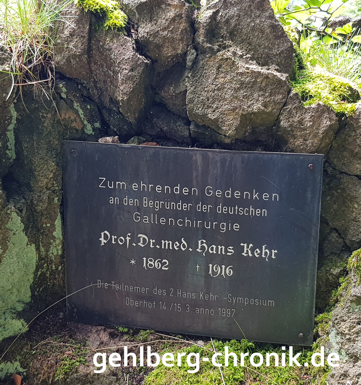 2021 024 H K Stein 03