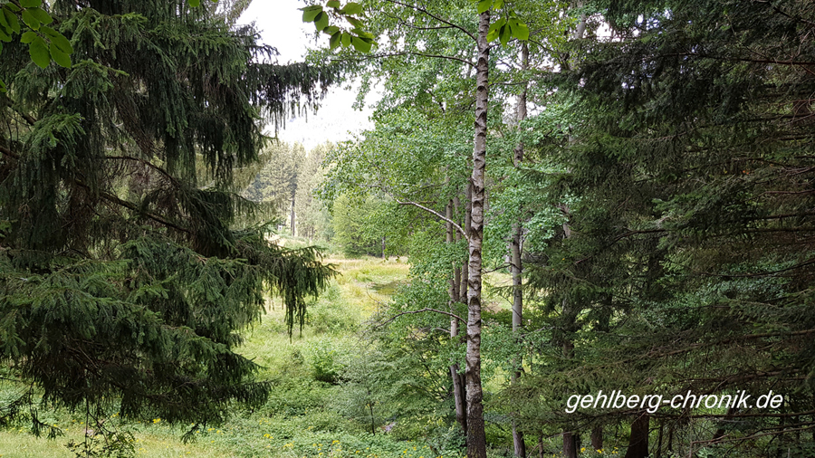 079 2020 web