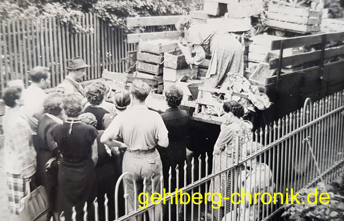 1954 028 Gemuese