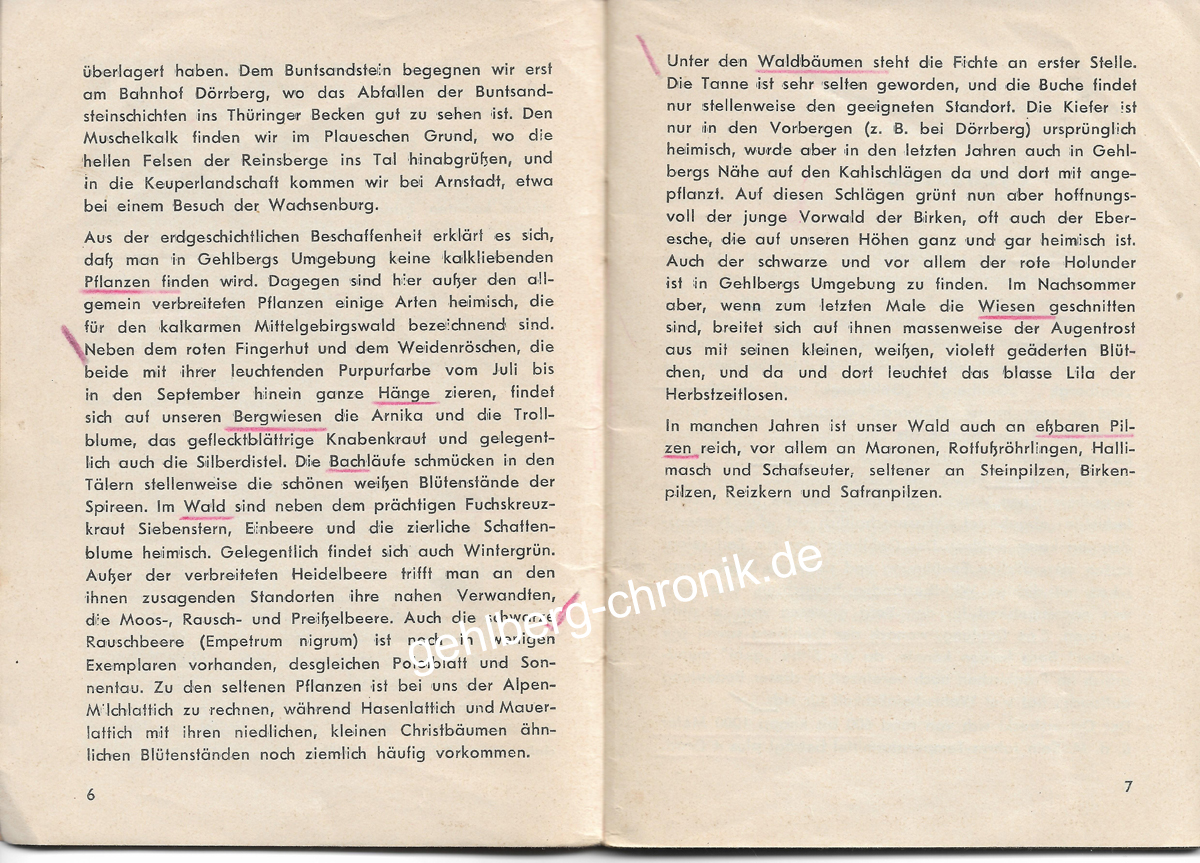 1955 009 Wanderfuehrer 6 7