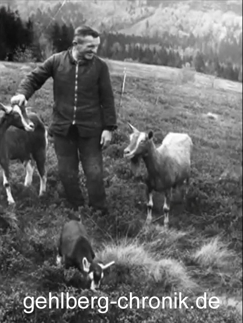 1965 006 Waldbad Franke mit Ziegen