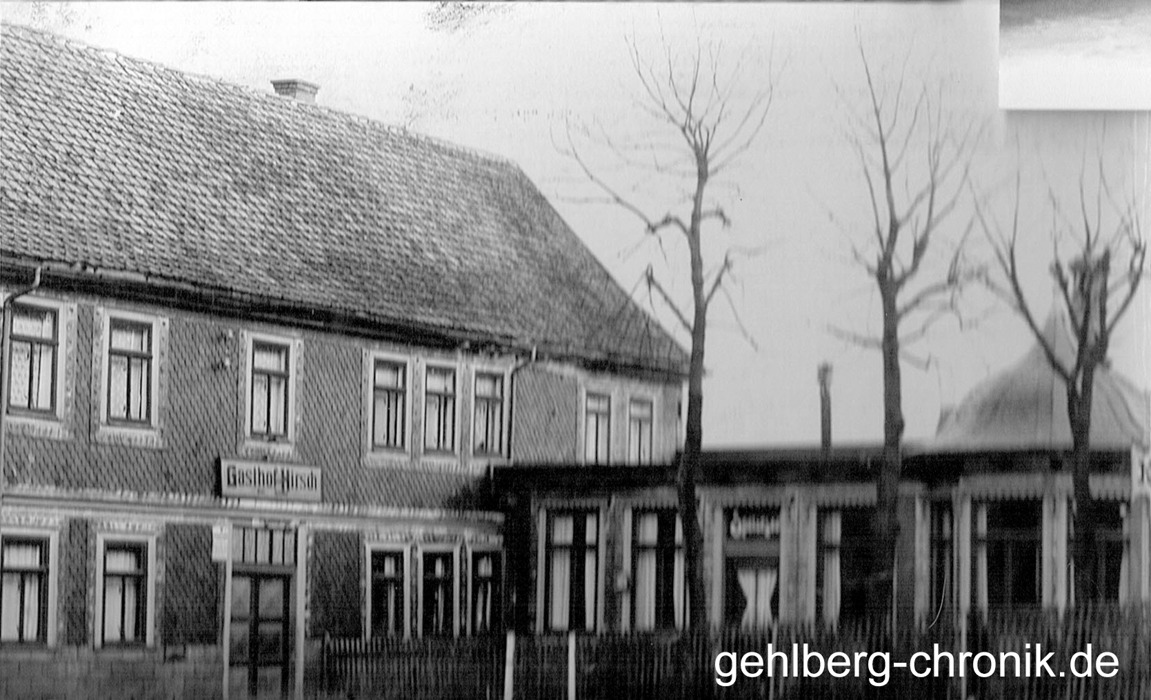 1968 021 Hirsch