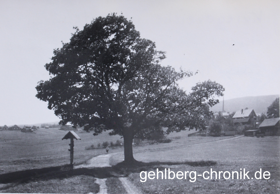 1974 007 09 Kriegereiche