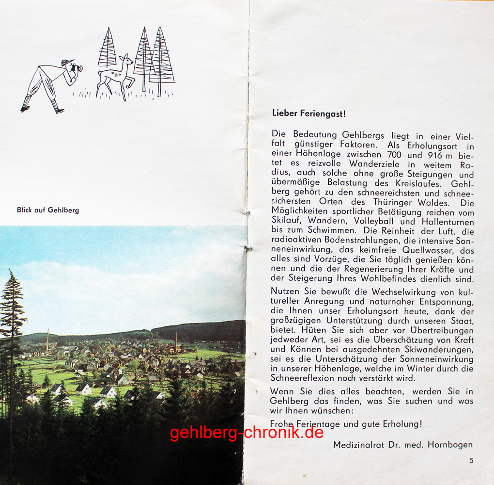 1981 014 Prospekt03