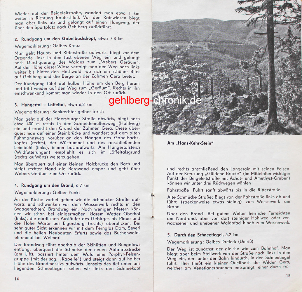 1981 019 Prospekt08
