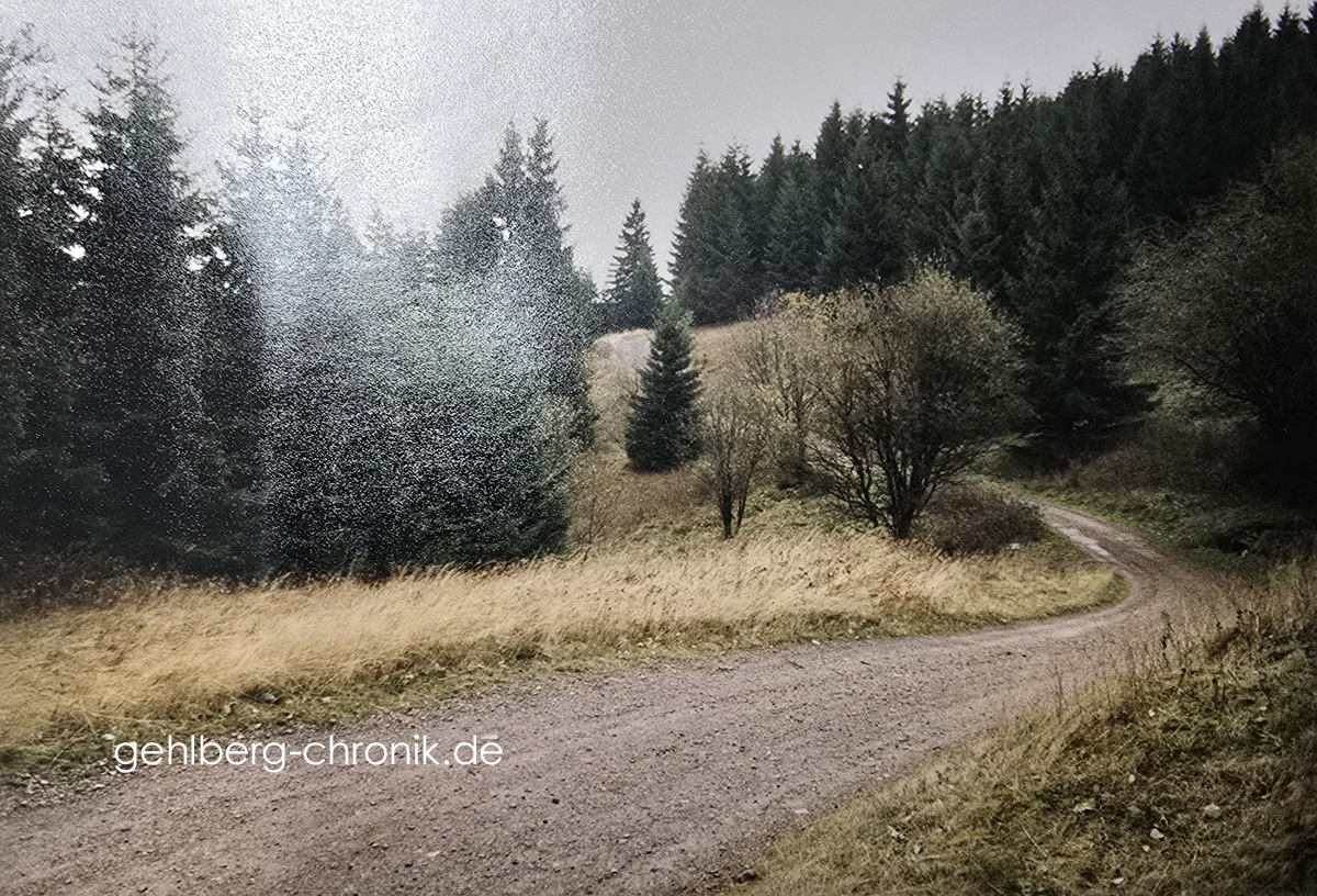 1991 014 Weg