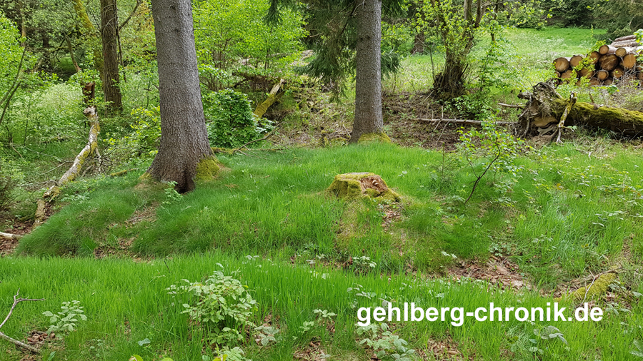 2023 038 Waldbad Cafe