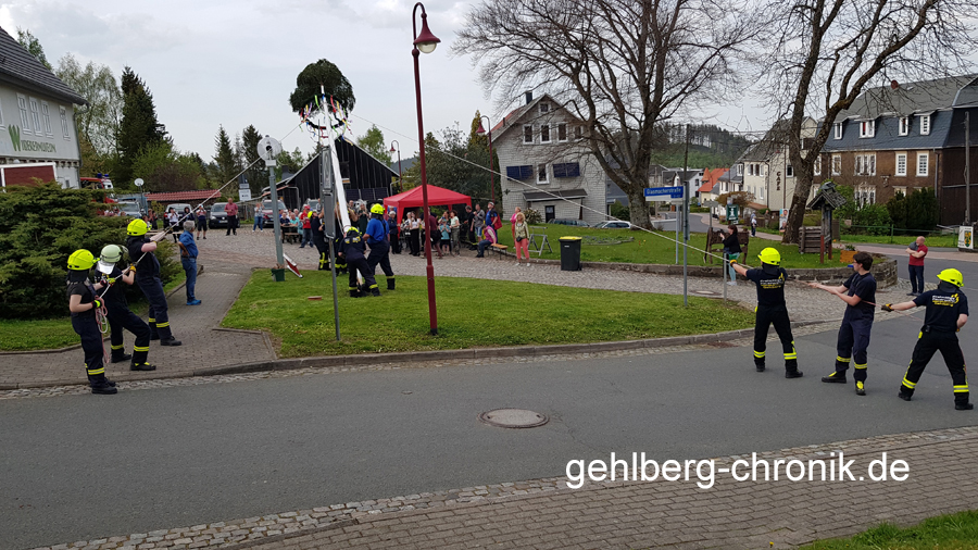 2024 008 Maibaum
