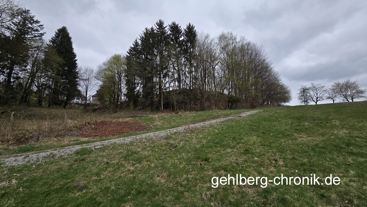 2025 011 Halde